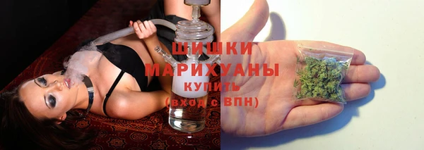 гидропоника Бугульма