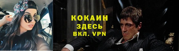 индика Бородино
