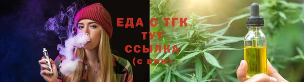индика Бородино