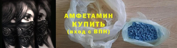 индика Бородино