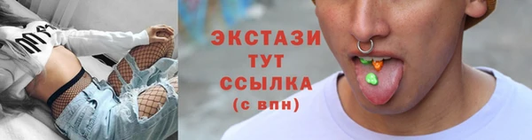 индика Бородино