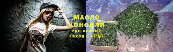 индика Бородино
