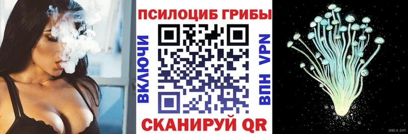 Галлюциногенные грибы мицелий  площадка какой сайт  Кировск 